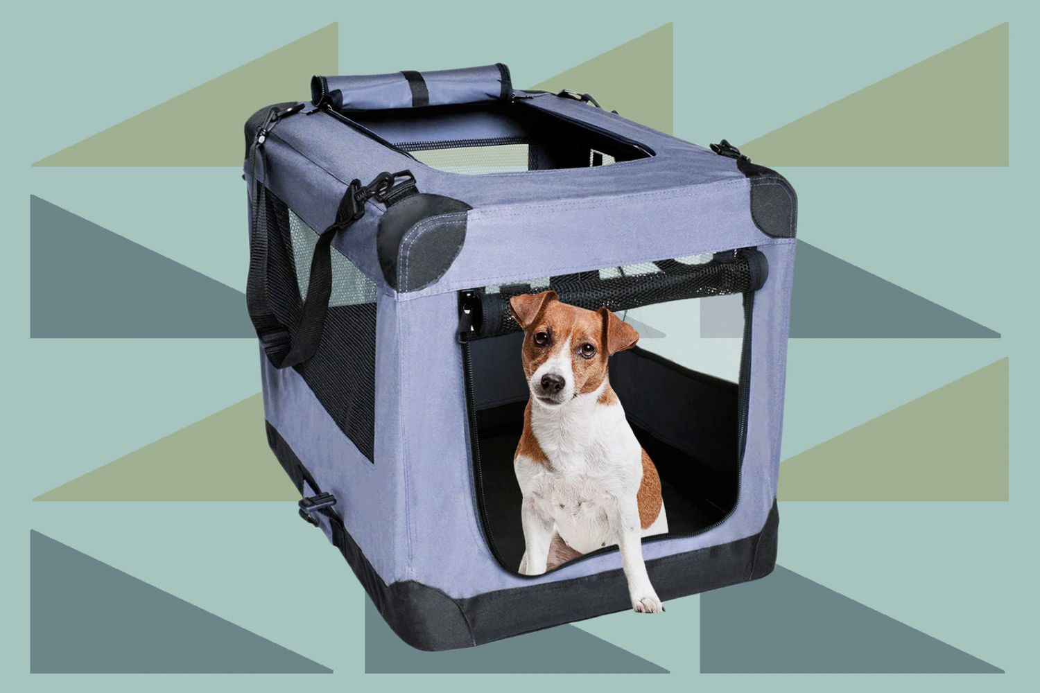 Lesure Small Dog Carrier Airline Approved Green Soft Sided Pet Carrier for Small Dogs and Medium Cats up to 15 Lbs Collapsible Puppy Carrier Dog Travel Bag 