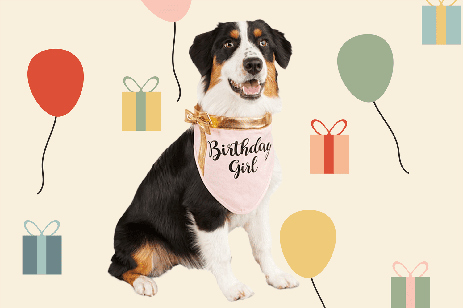 Happy Birthday Pattern Dog Bandana No-Tie Design 