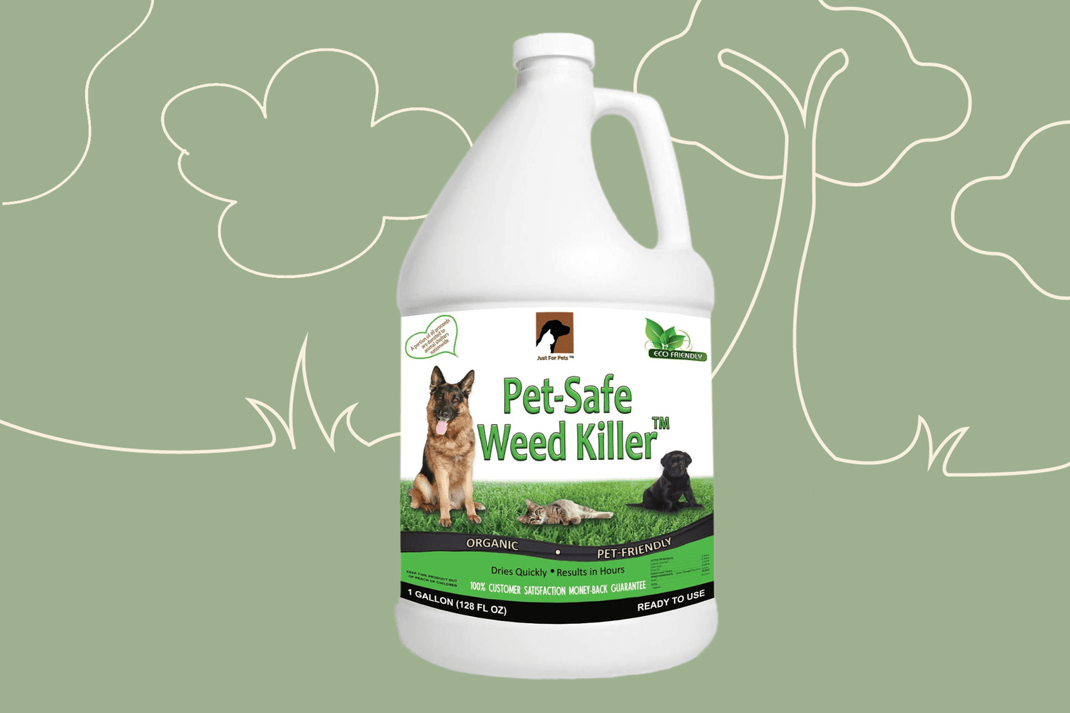 7 Best Pet Safe Weed S Daily Paws, Is Roundup Safe For Dogs Once Dry