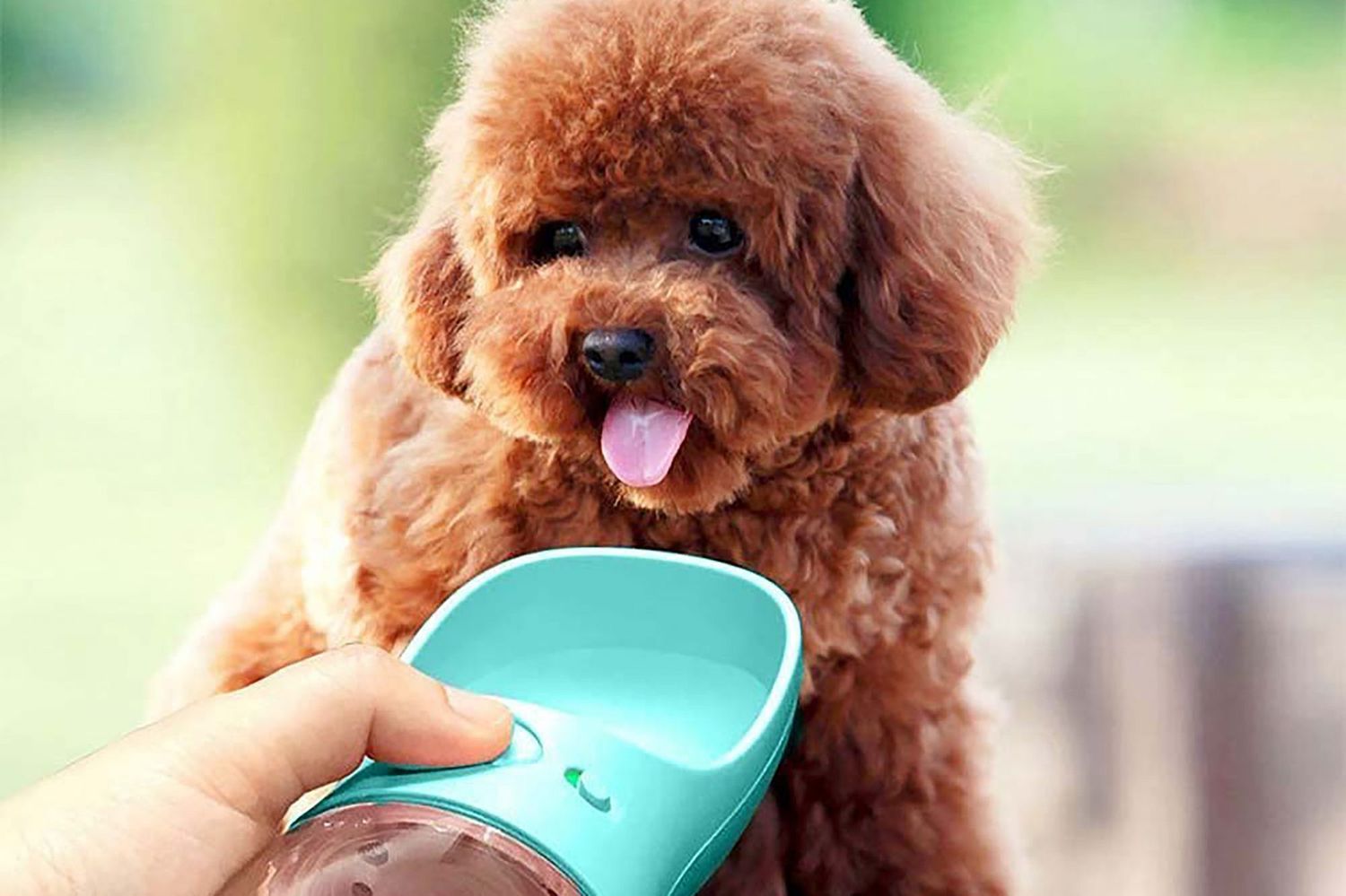 Bottle Feeder for Drinking Stainless Steel Portable Pet Dog Cat Outdoor Travel Water Bowl Eco-Friendly Pet Feeder Bowl Pet Safe Bowl for Dogs and Cats 