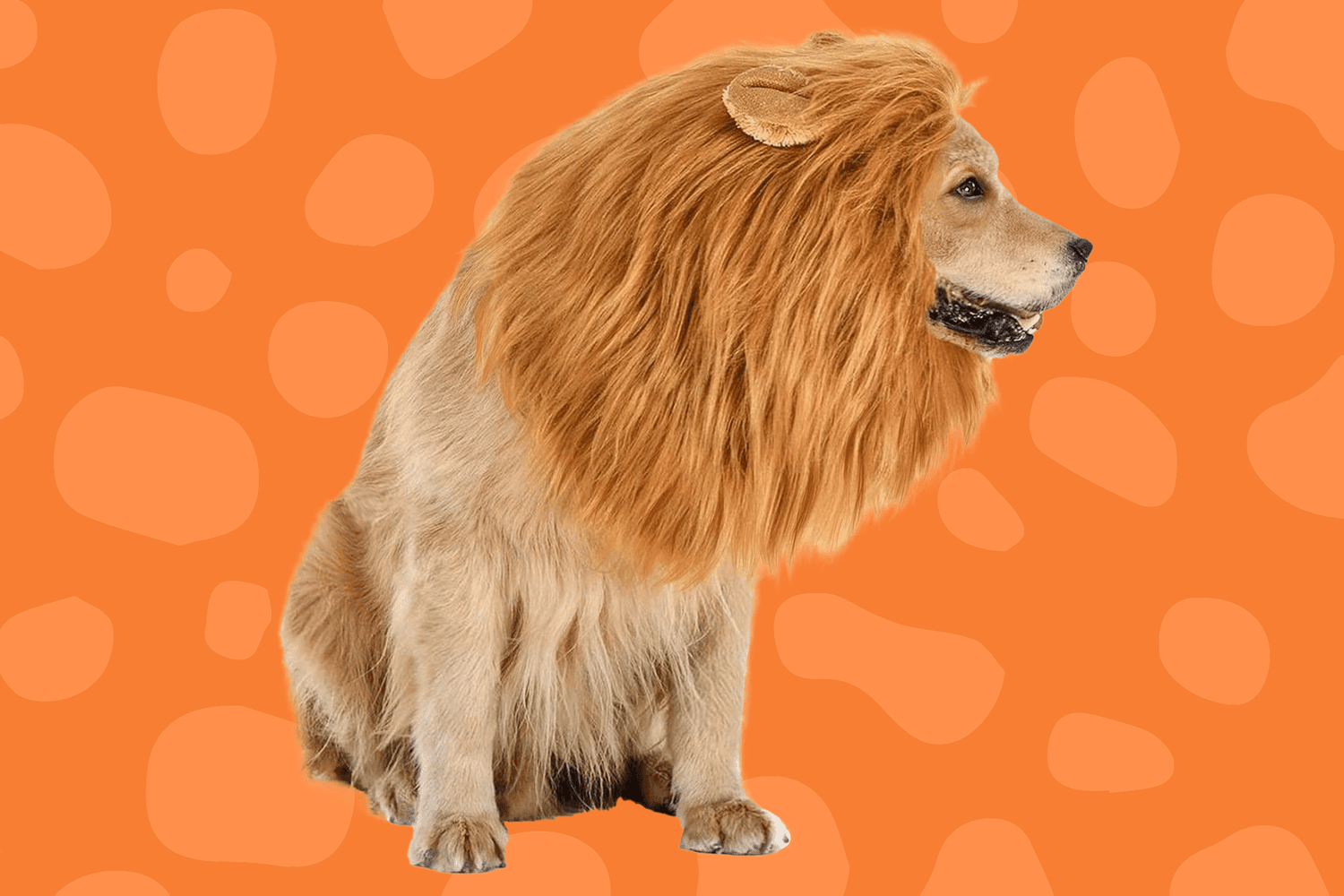 Lion Mane Wig For Cats And Dogs Funny Pet Cat Costumes For Halloween  Christmas Furry Pet Clothing Accessories|Cat Clothing| AliExpress | Lion's  Mane Wig For Funny Pet Cat Costumes For Furry |