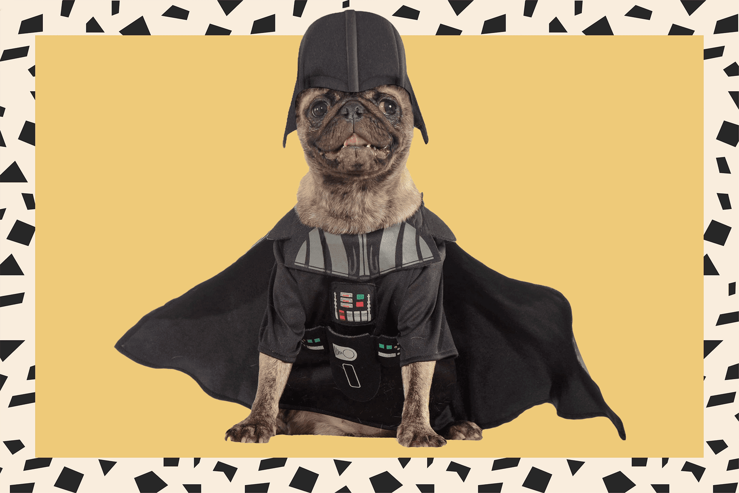 11 Best Star Wars Dog Halloween Costumes | Daily Paws