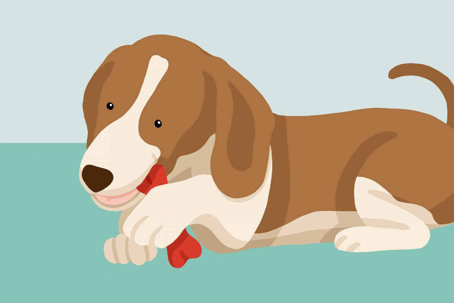 How to Help a Choking Dog Using the Heimlich Maneuver | Daily Paws