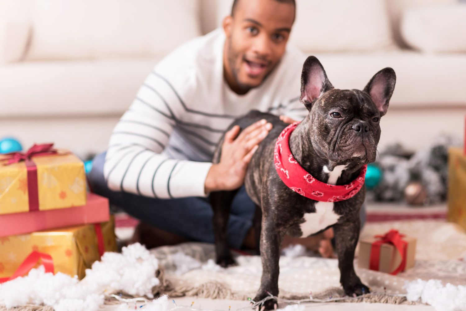 How Many Gifts Should You Buy Your Pet For the Holidays? | Daily Paws