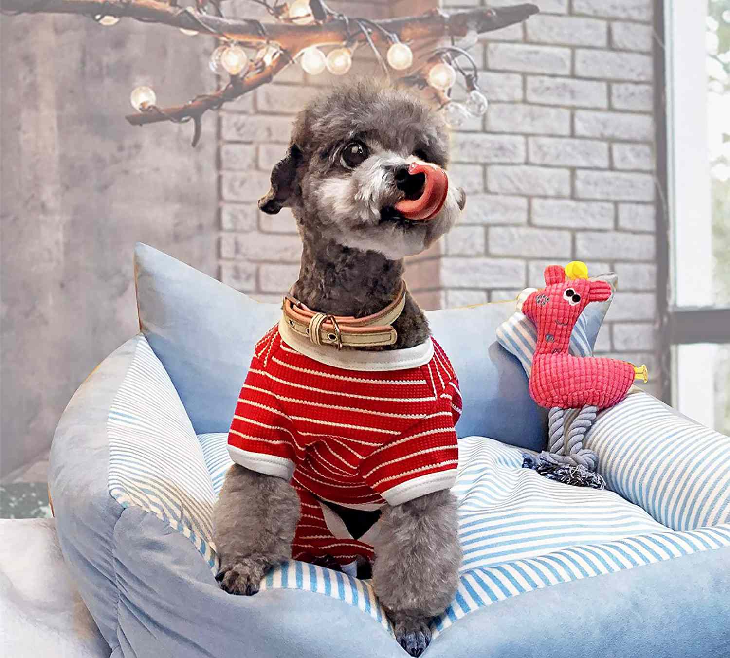 kyeese Christmas Dog Pajamas Santa Claus Dog Pjs for Small Dogs Holiday Dog Onesie Soft Velvet