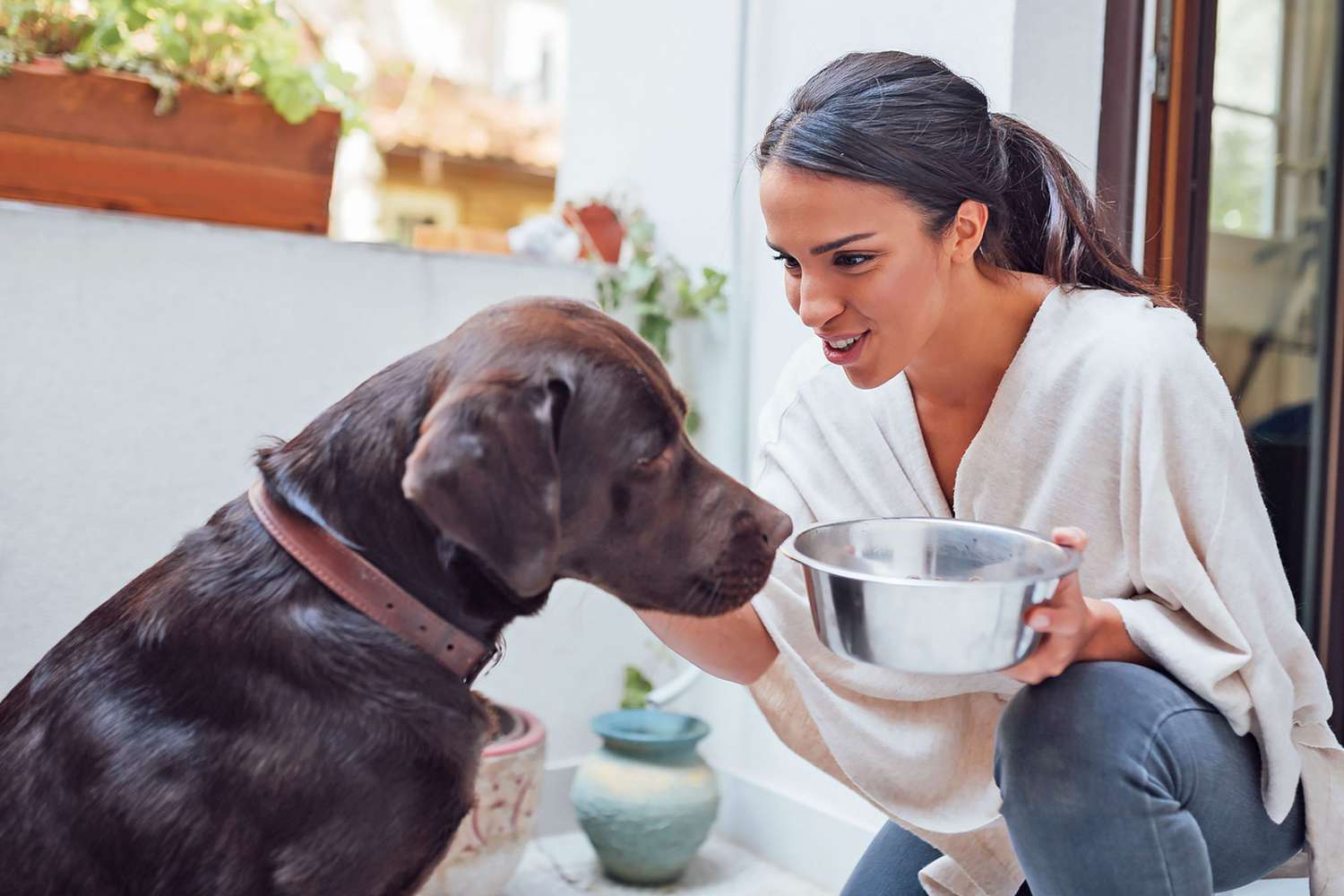 Calcium Supplements for Dogs: What They Are and Why Your Dog Might Need  Them | Daily Paws