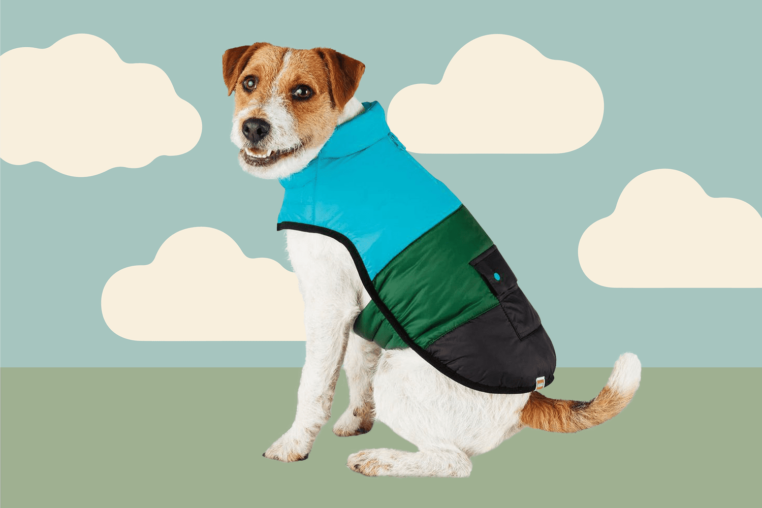 I Tried the LEGO Collection x Target Dog Puffer Vest, and It Fit My Large  Dog Perfectly | Daily Paws