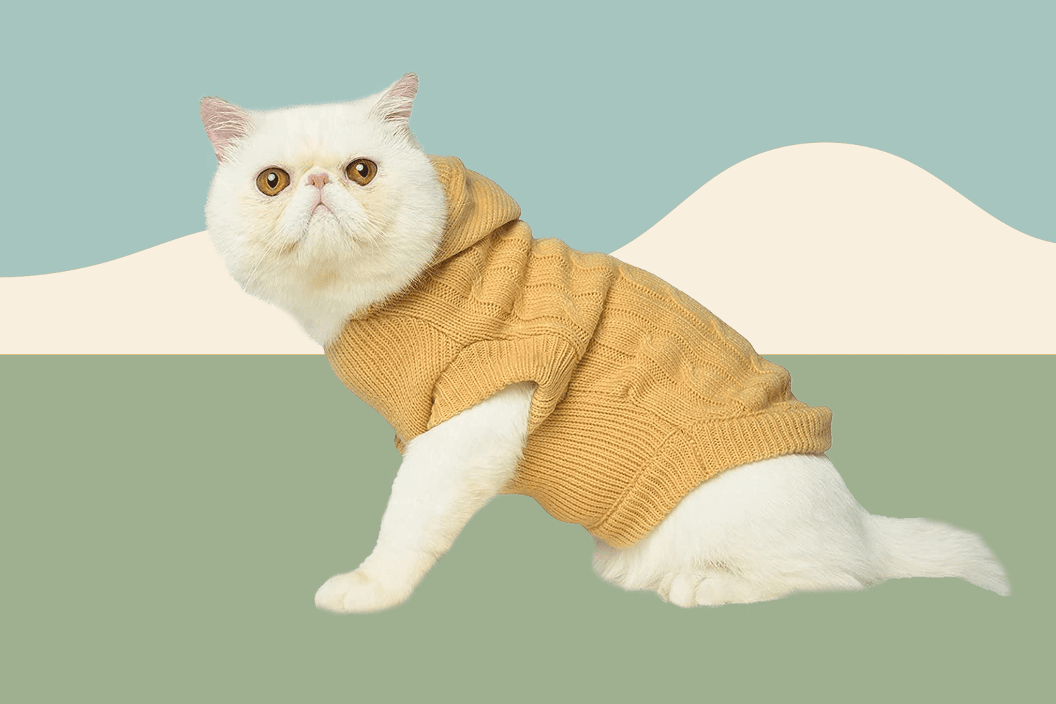 Winter  Warm Cat Walking Harness Fleece Padded Kitten Cat Clothes Jacket Vest 