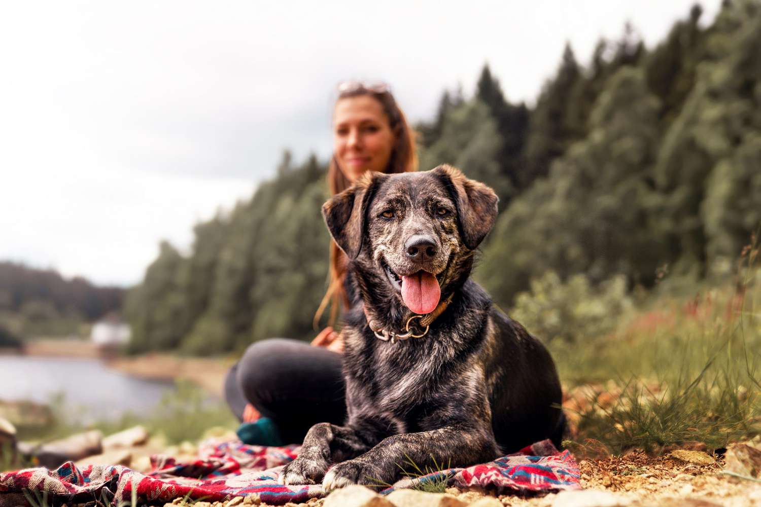 152 Nature Dog Names for Every Type of Outdoor Enthusiast | Daily Paws