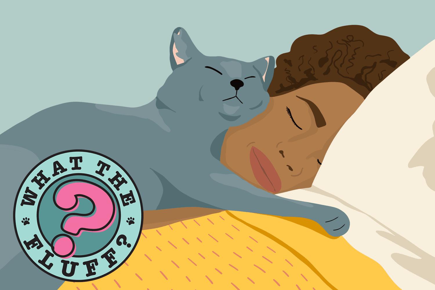 Why Does My Cat Sleep on My Head and Face? | Daily Paws