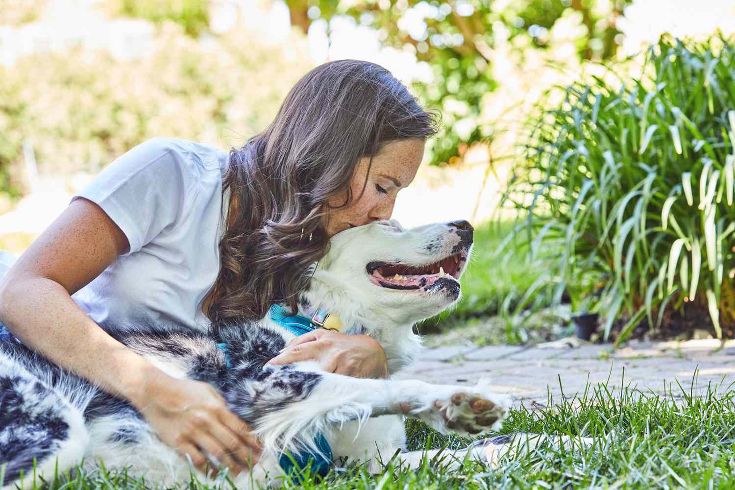 Allergic to Dogs? Studies Say Your Pet's Sex May Be the Reason | Daily Paws