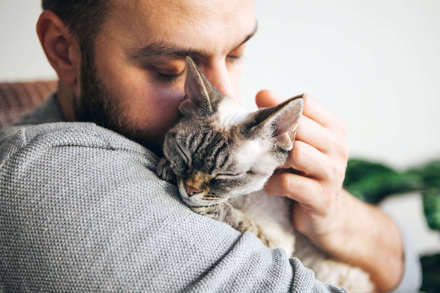 Are Male Cats More Affectionate? Experts and Research Say It Depends |  Daily Paws