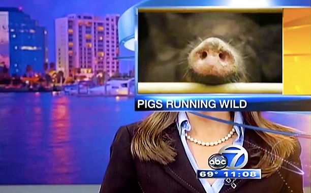 Watch the most awkward, vulgar, hilarious news bloopers of 2014 