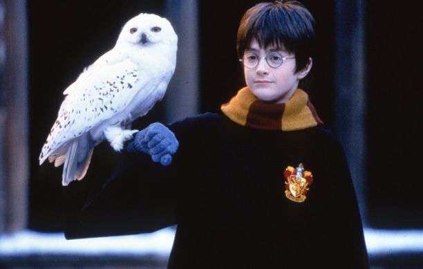 Harry Potter theory: How Snape protected Harry by killing Hedwig the owl | EW.com