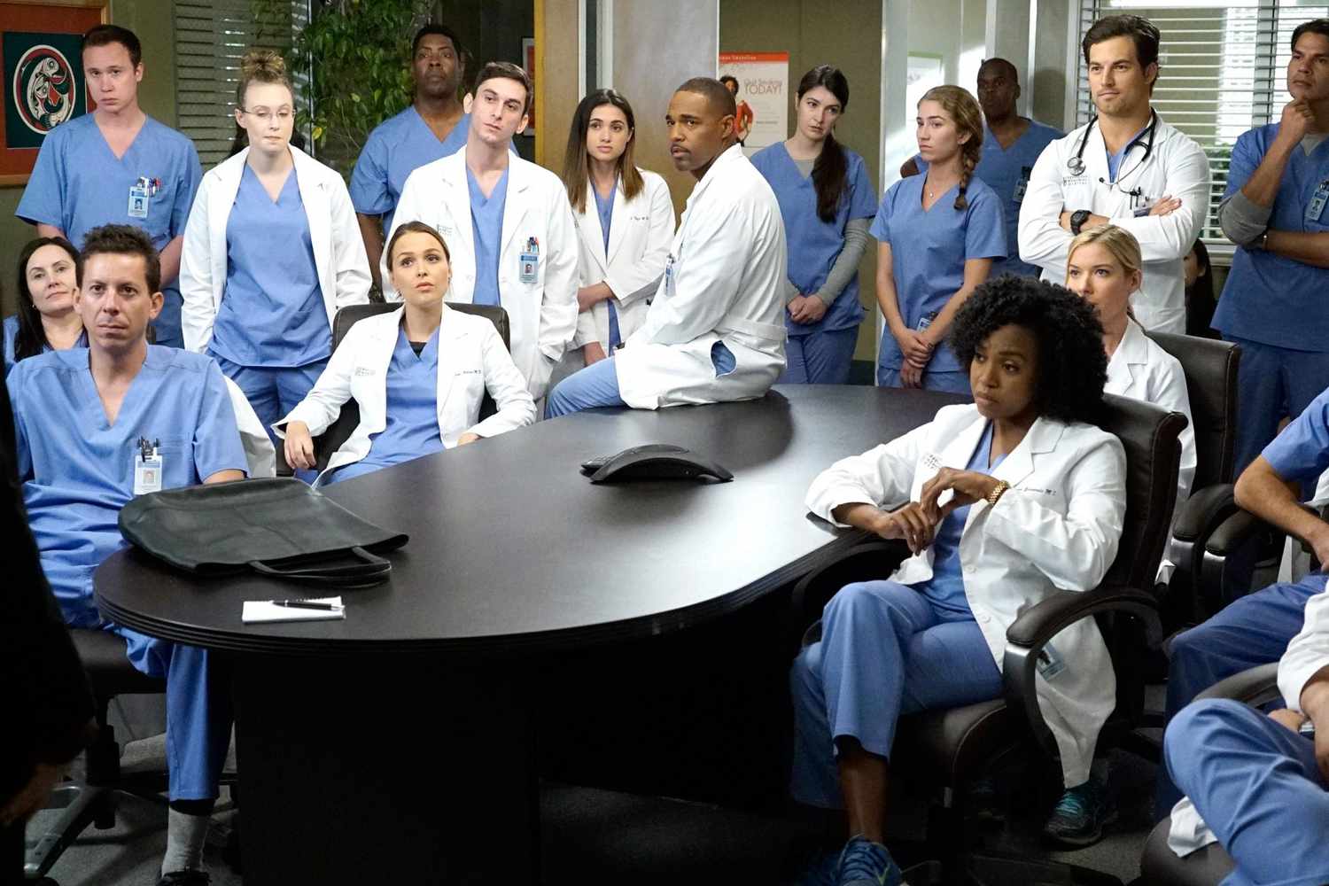 Grey's Anatomy season 14 on Netflix Australia