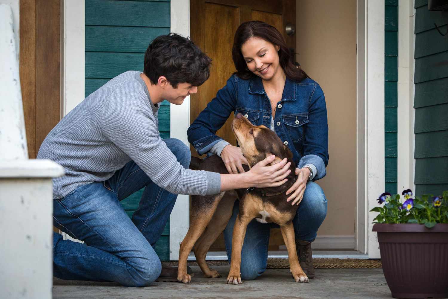 A Dog s Way Home EW review: A Dog's Way Home is just good enough to get you choked up |  EW.com