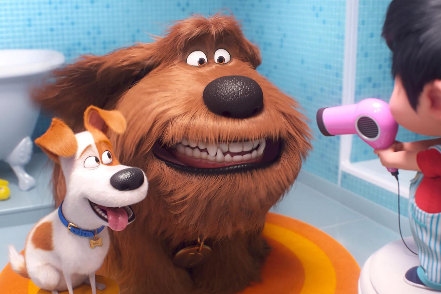 Secret Life of Pets 2 review: Kevin Hart, Tiffany Haddish sequel has some old  dogs, no new tricks 