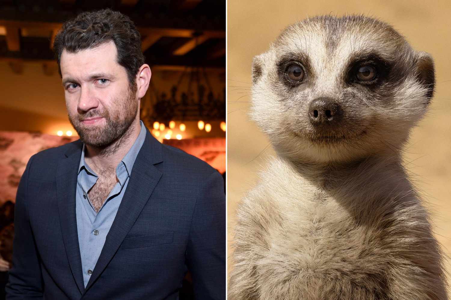 Billy Eichner's best lines as Timon in The Lion King remake 