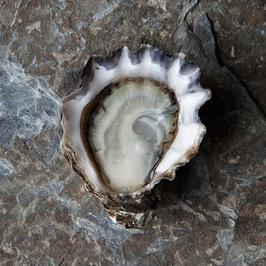 Food Safety Information - Food safety risks posed by parasites in oysters  for raw consumption