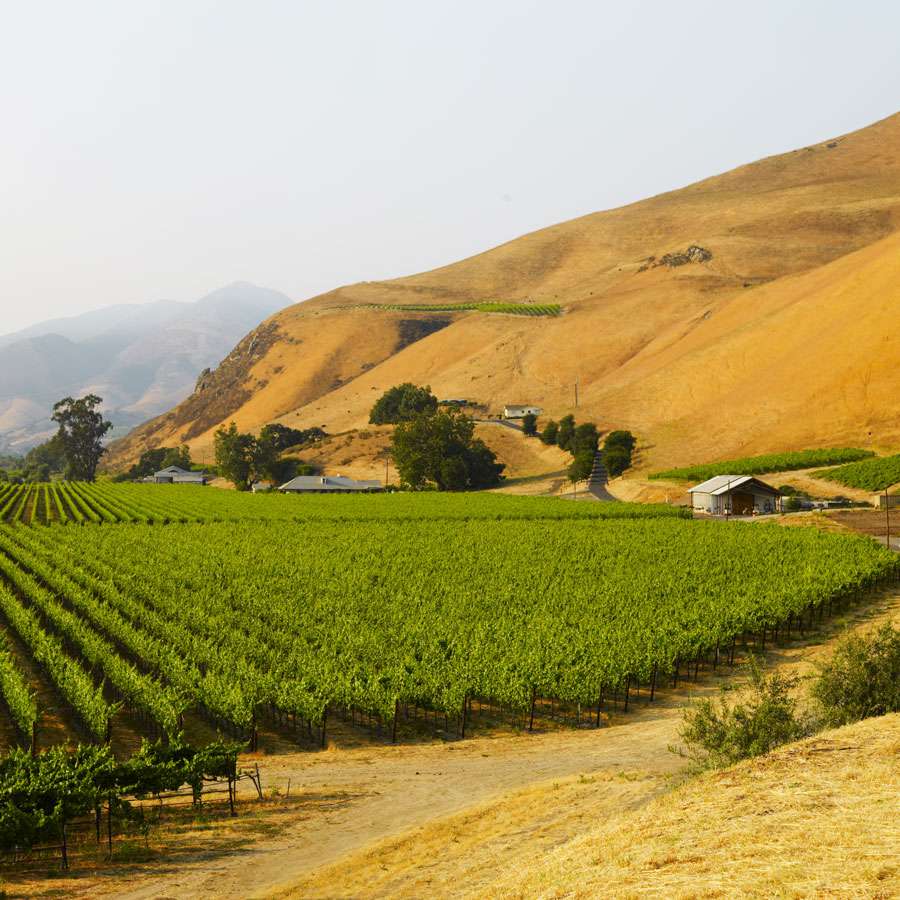 Best Paso Robles Wineries to Visit. vina robles wine tasting. 