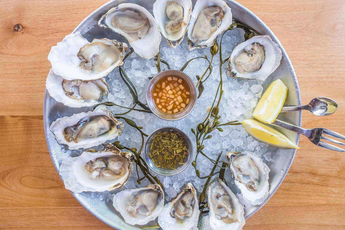  Oysters,  Shellfish, Shucking oysters
