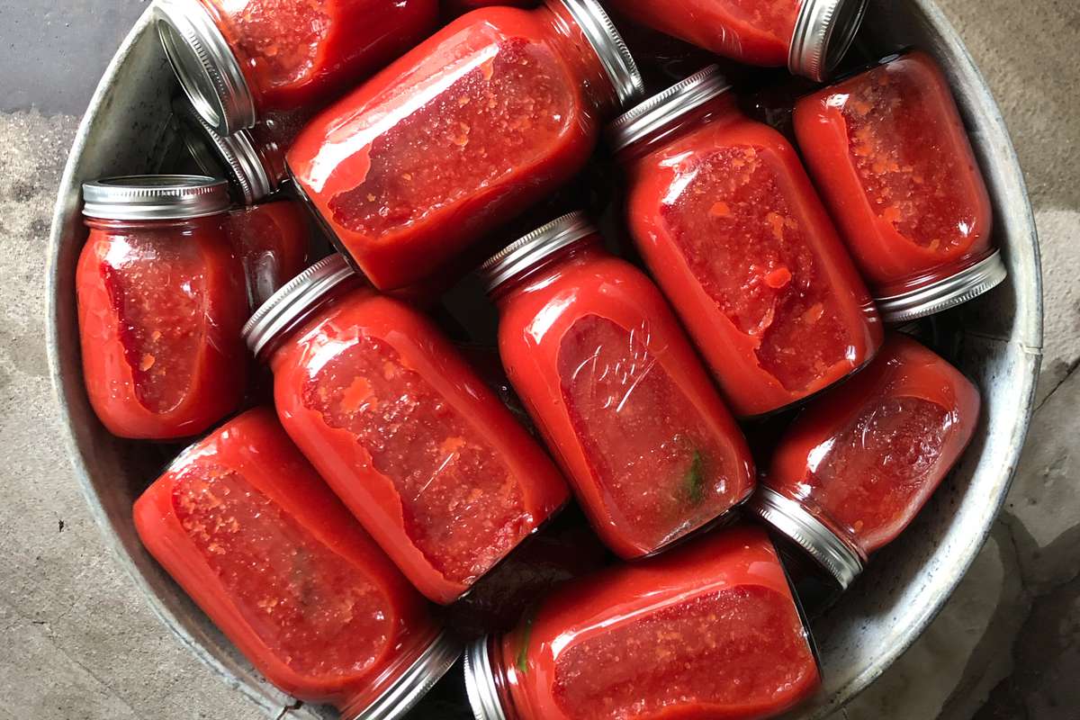 Canned Tomato Passata Recipe - Lucia LoPresti | Food & Wine